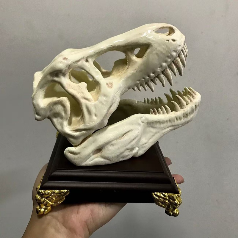 3D Printed Tyrannosaurus Rex S - 3D Printing Enthusiast บทวิจารณ์และราคา