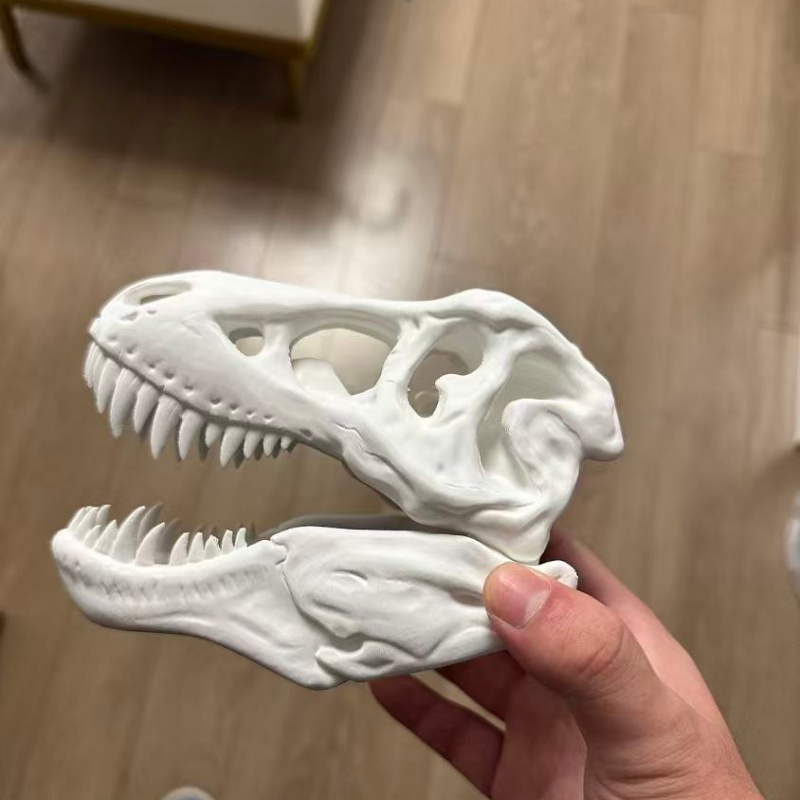 3D Printed Tyrannosaurus Rex S - 3D Printing Enthusiast บทวิจารณ์และราคา