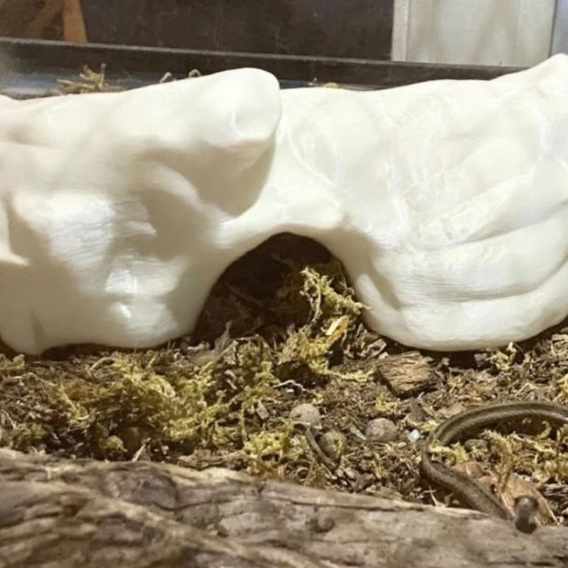 3D Printed Reptile Hiding Hous - 3D Printing Lizard บทวิจารณ์และราคา
