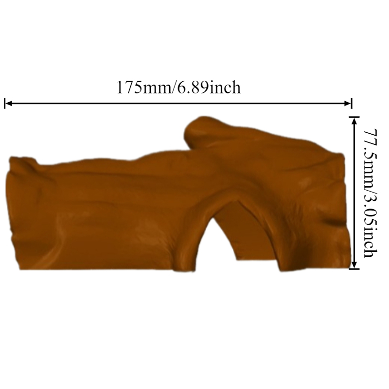 3D Printed Reptile Hiding Hous - 3D Printing Lizard บทวิจารณ์และราคา